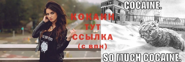 индика Абдулино