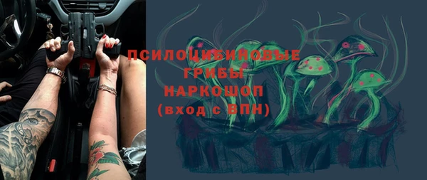 хмурый Абаза