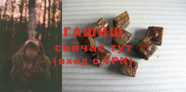 хмурый Абаза