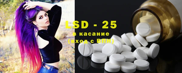 хмурый Абаза