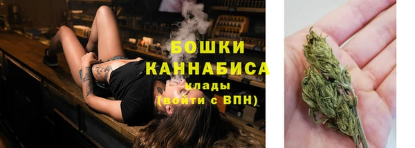 гашик Осташков
