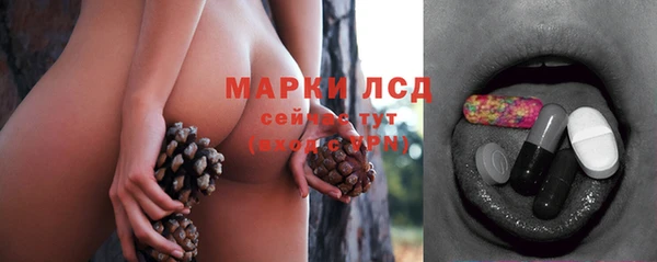 индика Абдулино