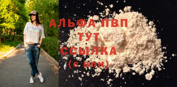индика Абдулино