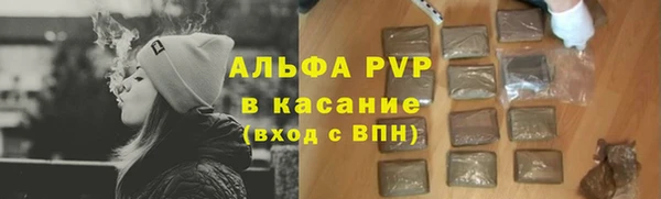 хмурый Абаза