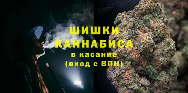 индика Абдулино