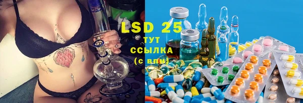 индика Абдулино